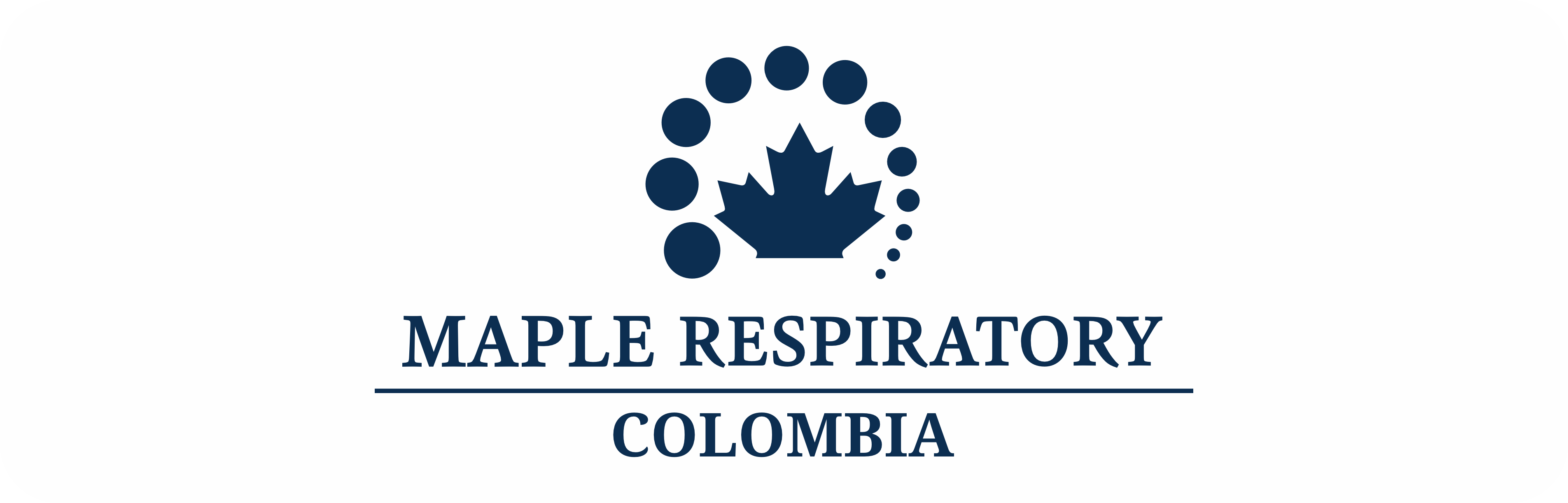 MAPLE 2024
